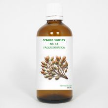 balancepharma Gemmo simplex 14 fagus sylvatica 100ml