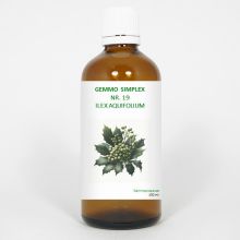 balancepharma Gemmo simplex 19 ilex aquifolium 100ml