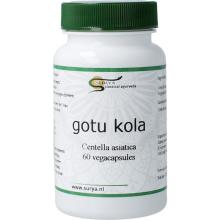 Surya Gutu kola centella asiatic 60ca