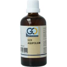 Go Ilex aquifolium bio 100ml