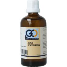 Go Buxus sempervirens bio 100ml