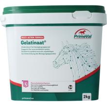 Primeval Gelatinaat paard 2kg