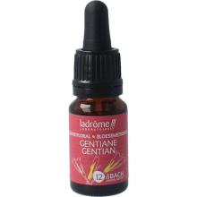 LaDr&ocirc;me Gentian bio 10ml
