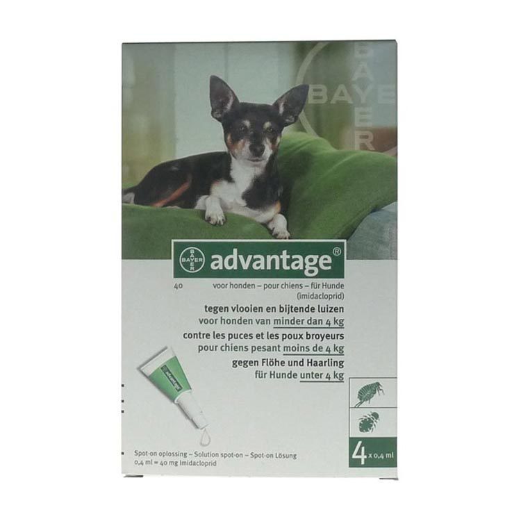 Advantage Hond 40 bestrijding vlo 4st