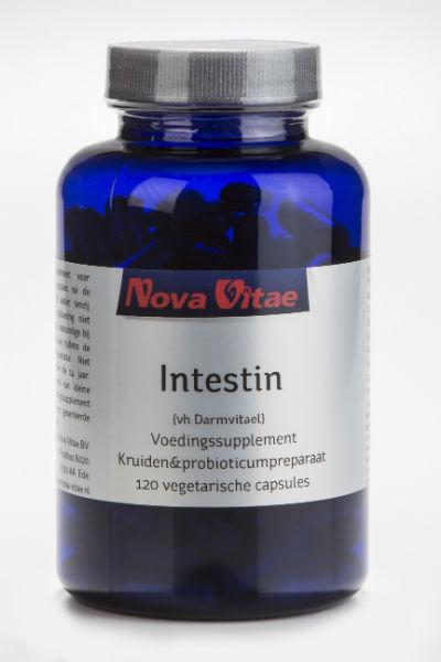 Nova Vitae Darmvitael 120cap
