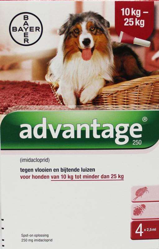 Advantage Hond 250 bestrijding vlo 4st