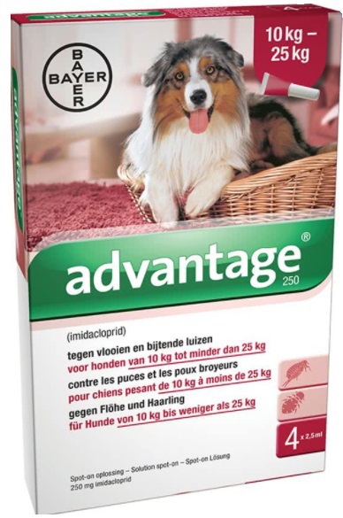 Advantage Dier hond 250 4 Stuks