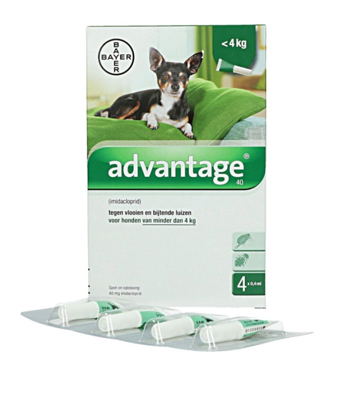 Advantage Dier hond 40 4 Stuks