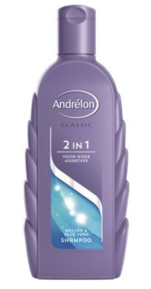 drempel Lijkenhuis Gaan wandelen Andrelon 2 in 1 Shampoo 300ml | Voordelig online kopen | Drogist.nl