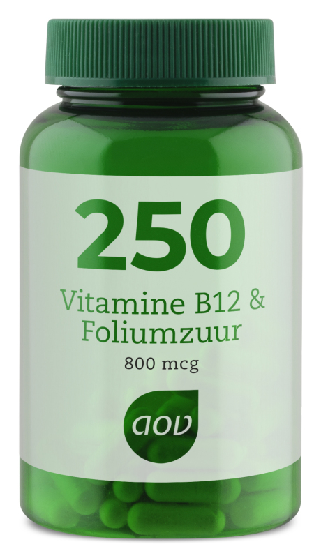 cliënt Twisted Autorisatie AOV 250 Vitamine B12 & Foliumzuur | Vandaag besteld, morgen in huis