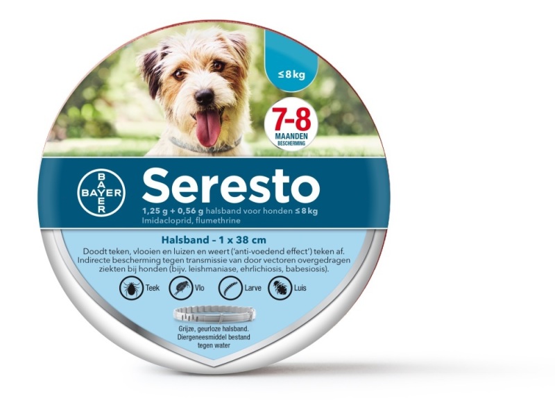 vastleggen Rechthoek Aanvrager Bayer Seresto Halsband Kleine Hond 1st | Voordelig online kopen | Drogist.nl