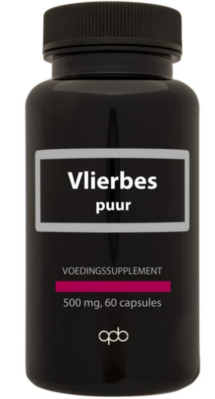 APB Holland Vlierbes / sambucus nigra puur 500 milligram 60 capsules