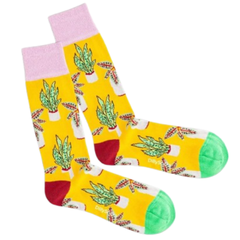 Dilly Socks Beach pottery sock 36-40