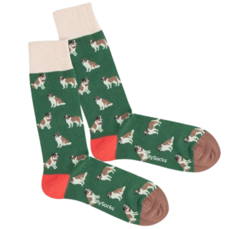 Dilly Socks Goose barry sock 36-40