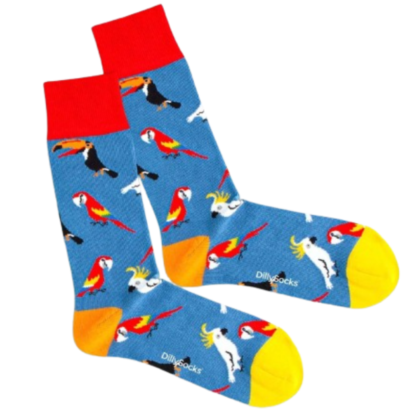 Dilly Socks Lake aviary sock 41-46