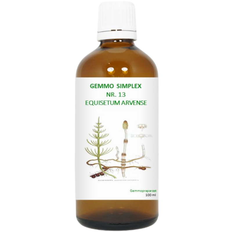 Balance Pharma Gemmo simplex 13 equisetum arvense 100ml