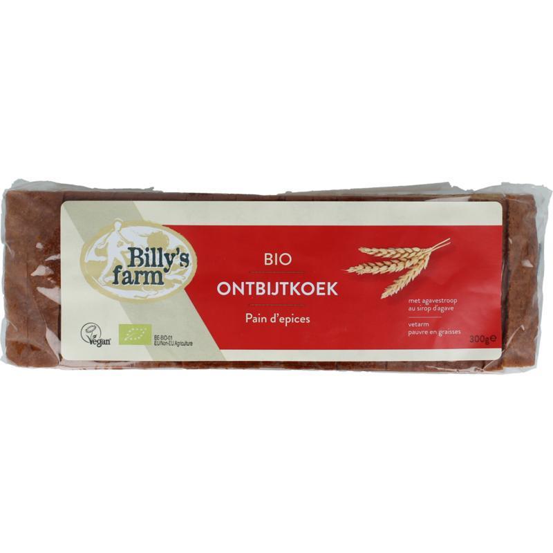 Ontbijtkoek naturel bio 300g