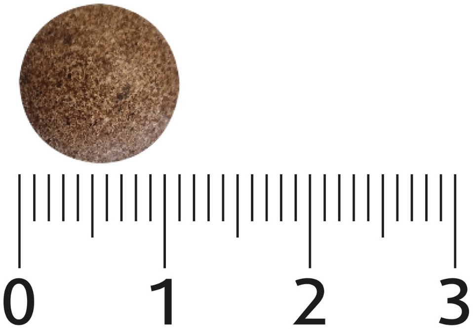 Lucovitaal Puur Maca & Shilajit 60 Tabletten