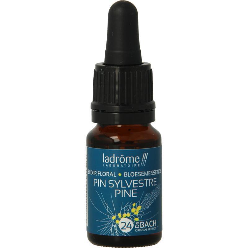 Pine / Den 24 bio 10ML