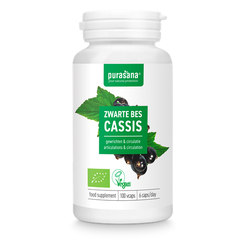 Zwarte Bes Bio 300 mg 100 vegicapsules