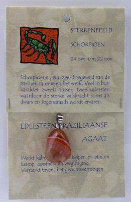 Sterrenbeeldhanger schorpioen 1kaart