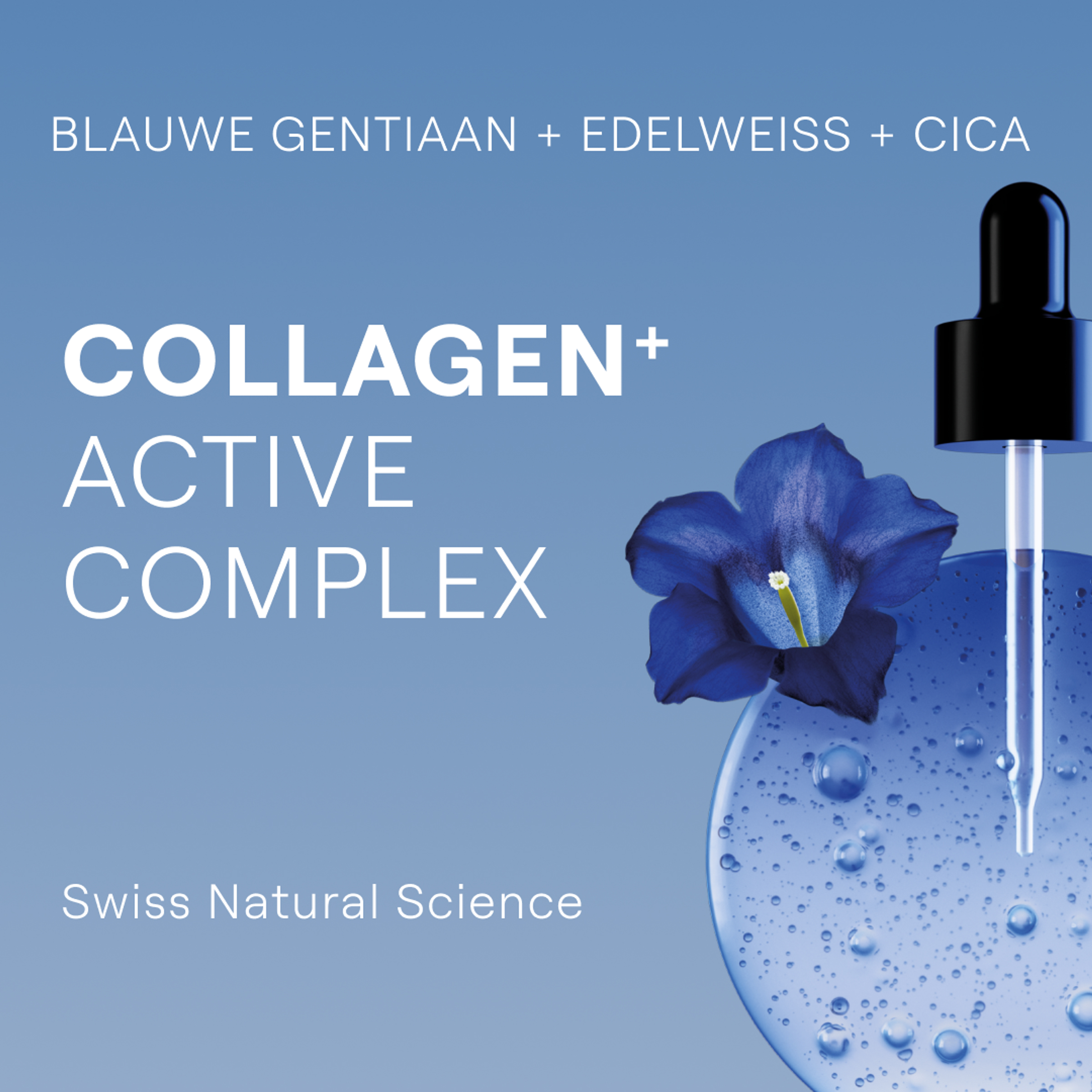 Weleda Blauwe Gentiaan & Edelweiss Versterkende Nachtcrème Anti-Age 50+-huid 40 ML