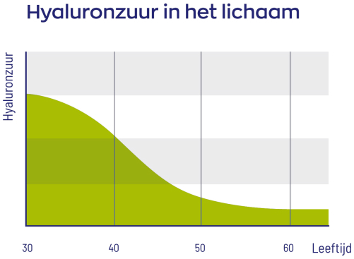 Vitakruid Hyaluronzuur 60 vegacaps