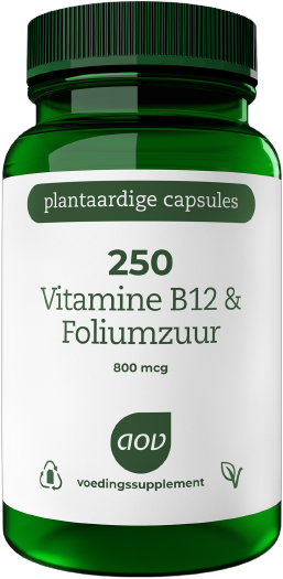 250 Vitamine B12 & Foliumzuur 60 vegacaps