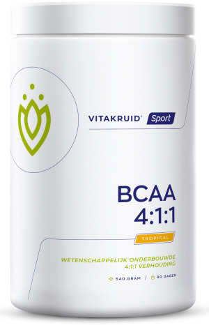 Vitakruid BCAA 4:1:1 540 gram
