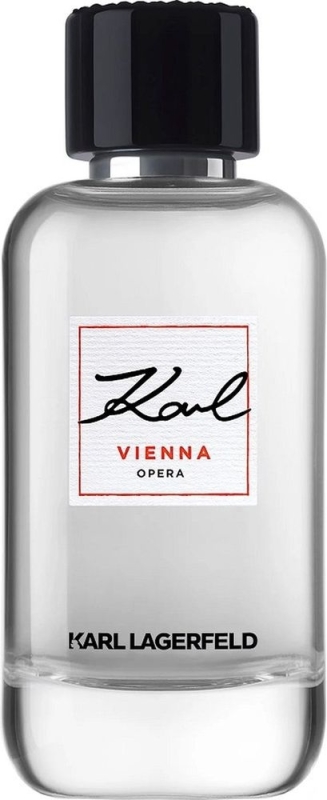 Vienna Pour Homme 100 Ml 100ml