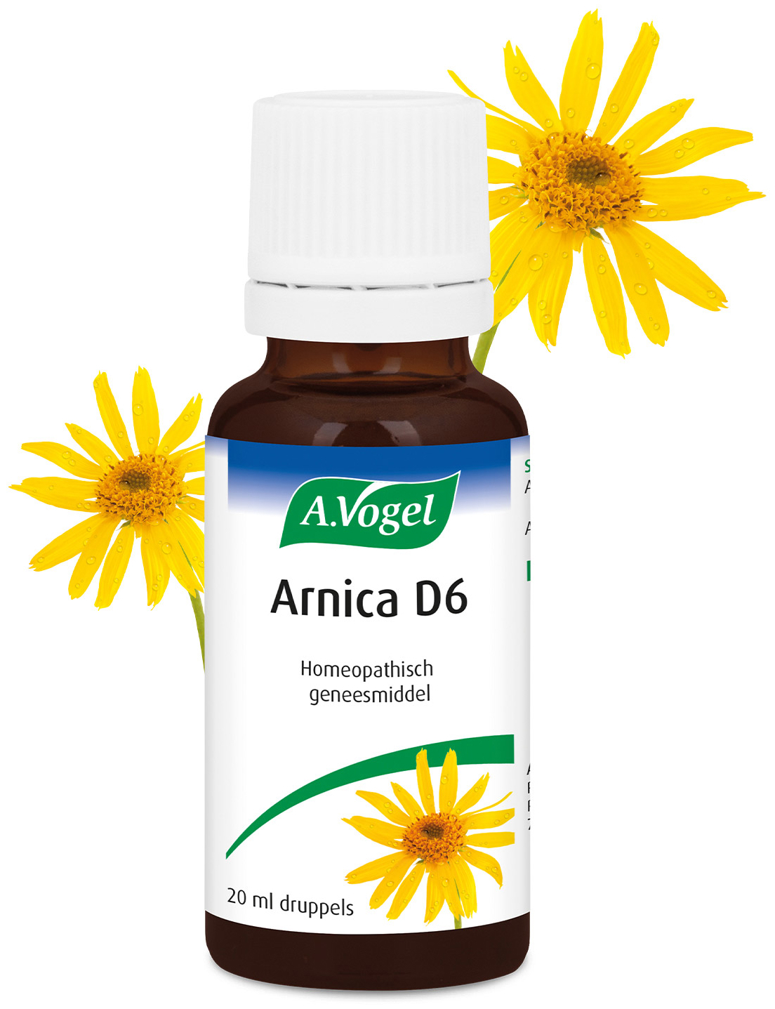 A.Vogel Arnica D6 druppels 20ml