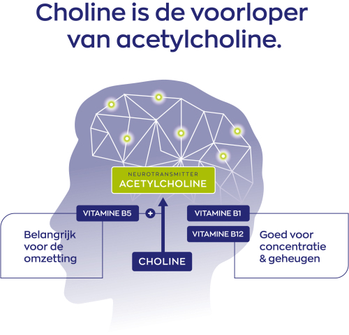 Vitakruid Choline Complex 90 Vegan Capsules