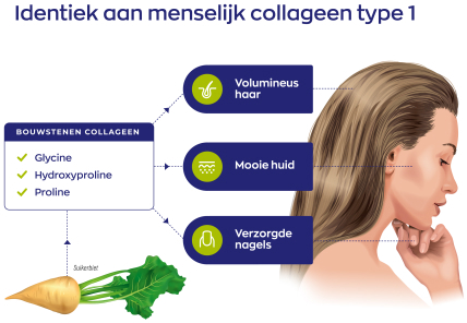Vitakruid Vegan Collageen Builder 90 Tabletten