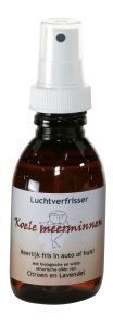 Luchtverfrisser koele meermin 110ml