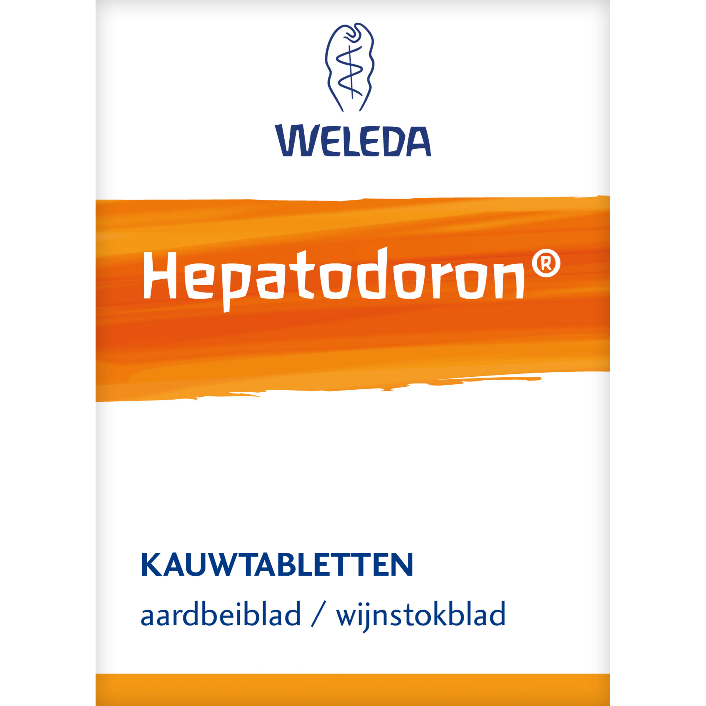Hepatodoron 200 tabletten