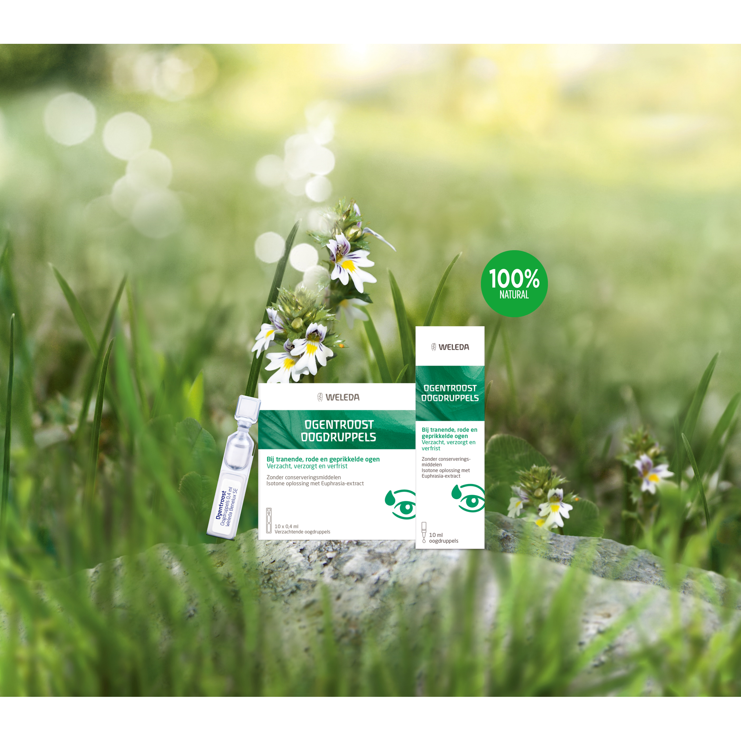 Weleda Ogentroost Oogdruppels 10ml