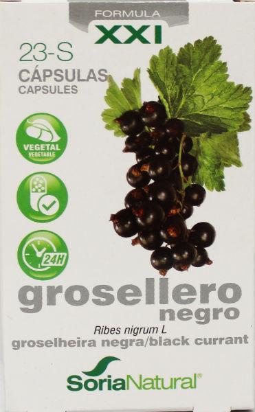 Ribes Nigrum 23-S XXI 30cap