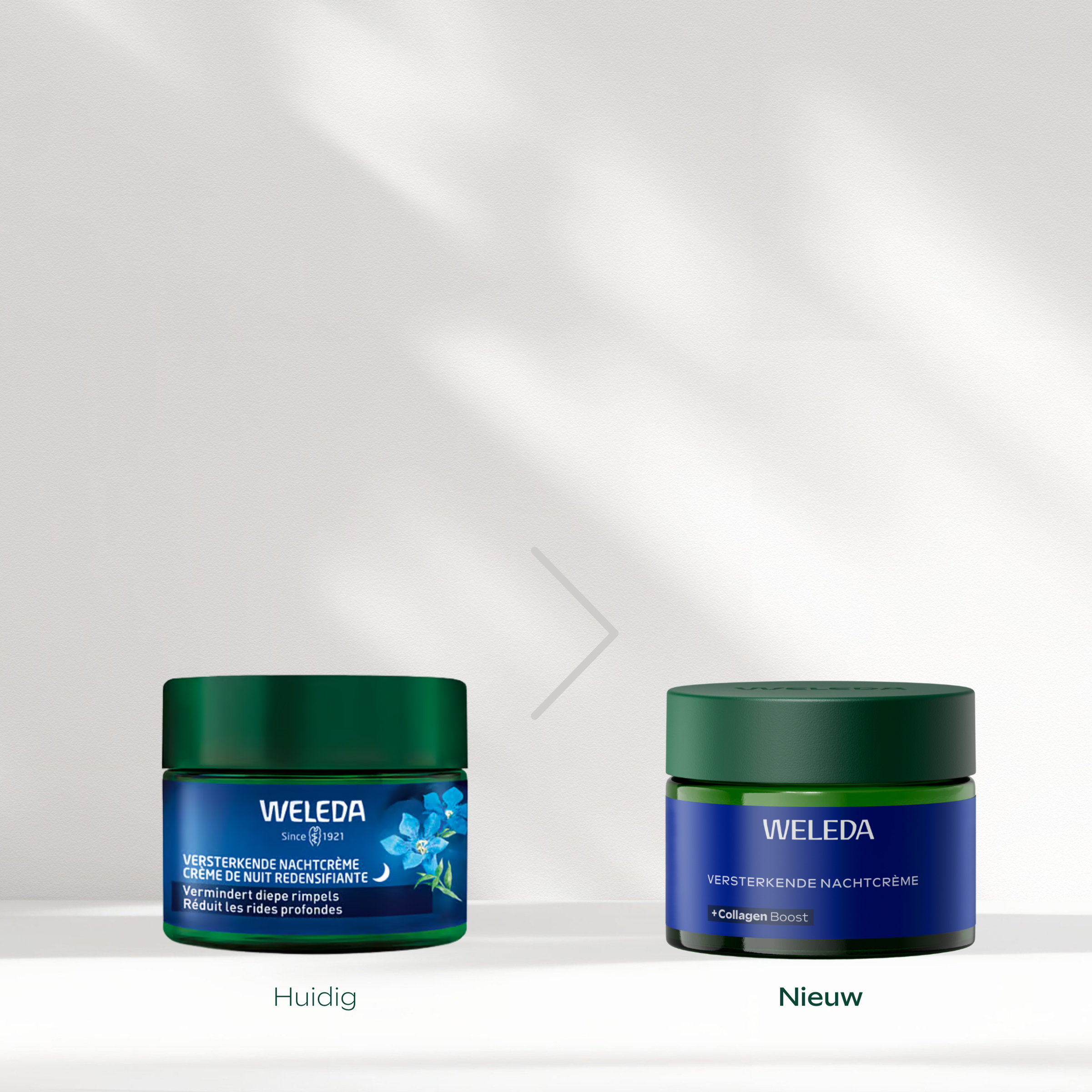 Weleda Blauwe Gentiaan & Edelweiss Versterkende Nachtcrème Anti-Age 50+-huid 40 ML