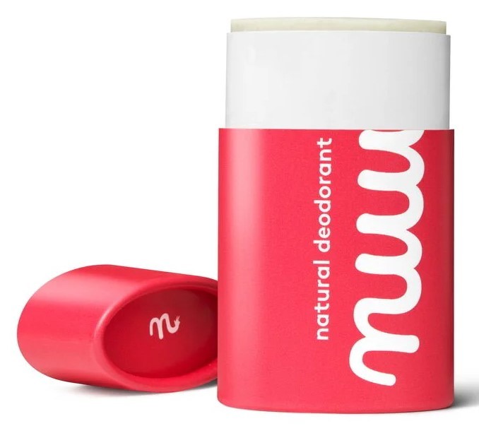 The Stick Deodorant 45 Gram