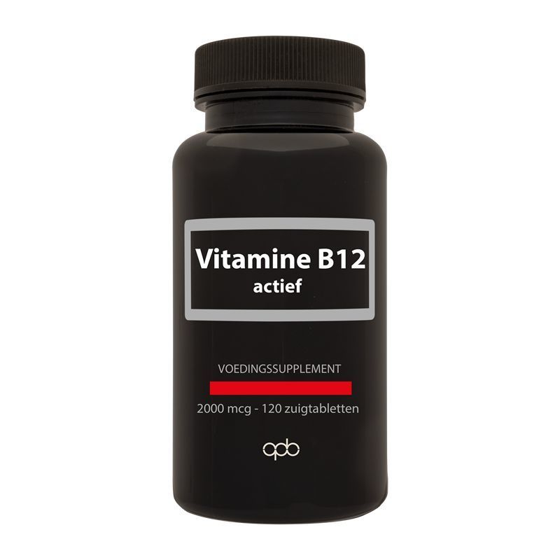 Vitamine B12 actief 2000mcg 120tb