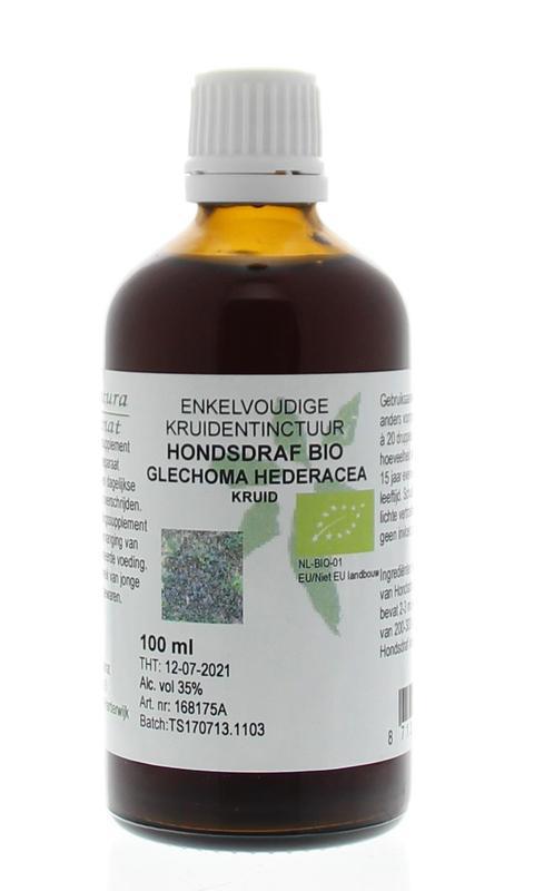 Glechoma hederacea / hondsdraf tinctuur 100ml