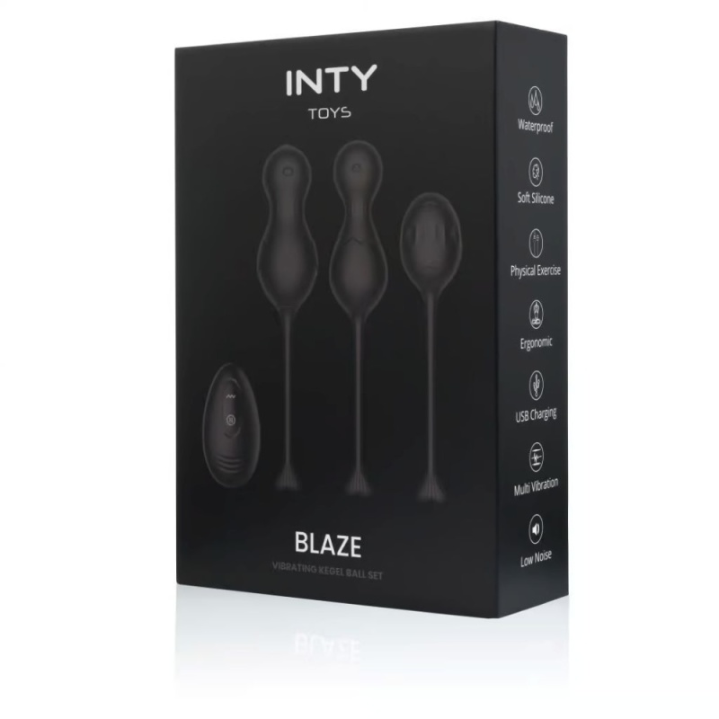 INTY Toys Blaze 1st