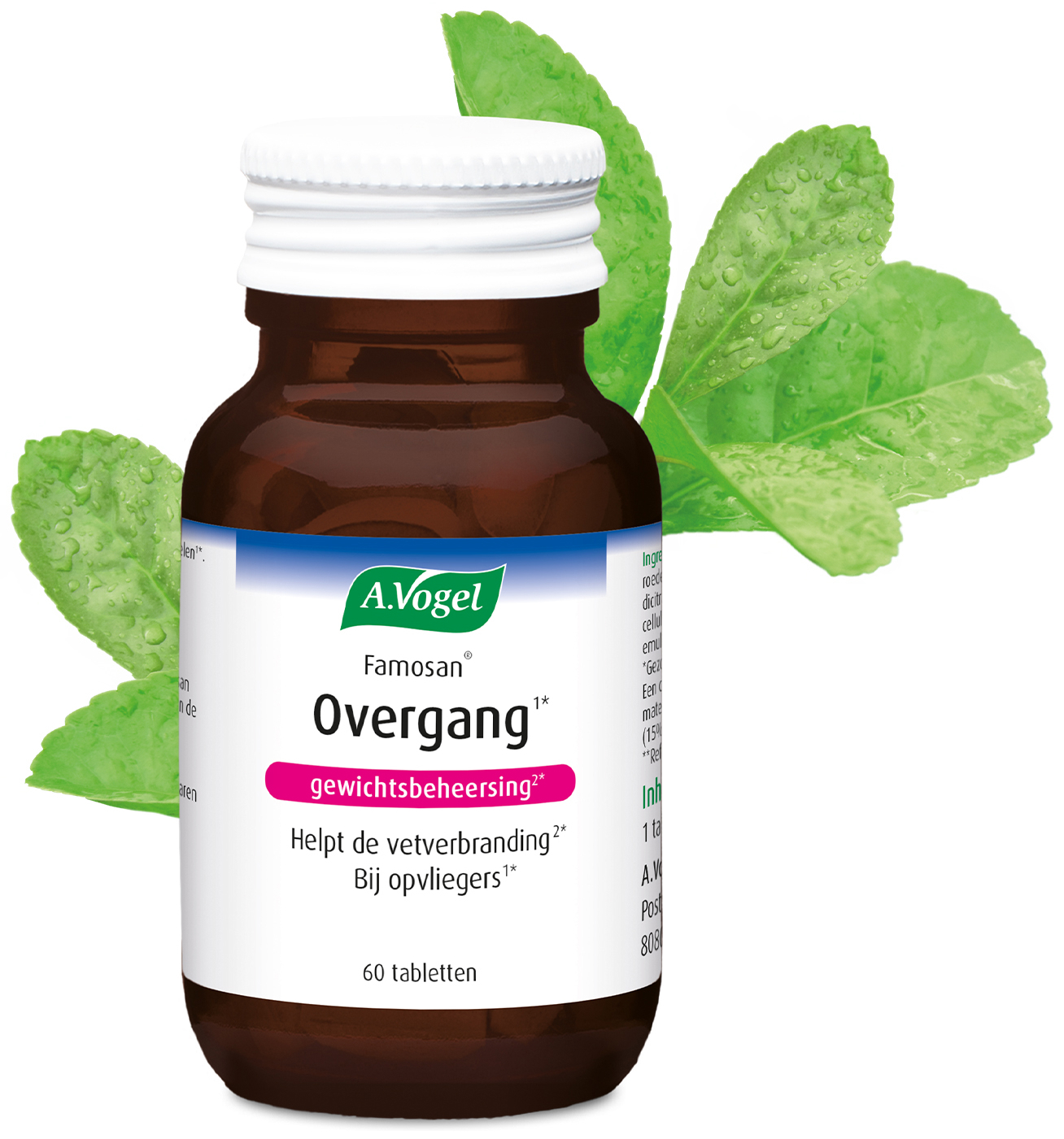 A.Vogel Famosan Overgang Gewichtsbeheersing tabletten 60 Stuks