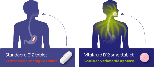 Vitakruid B12 5000 mcg Actief Methylcobalamine Vitamine 60 tabletten