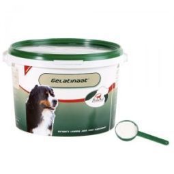 Gelatinaat Hond 2 kg