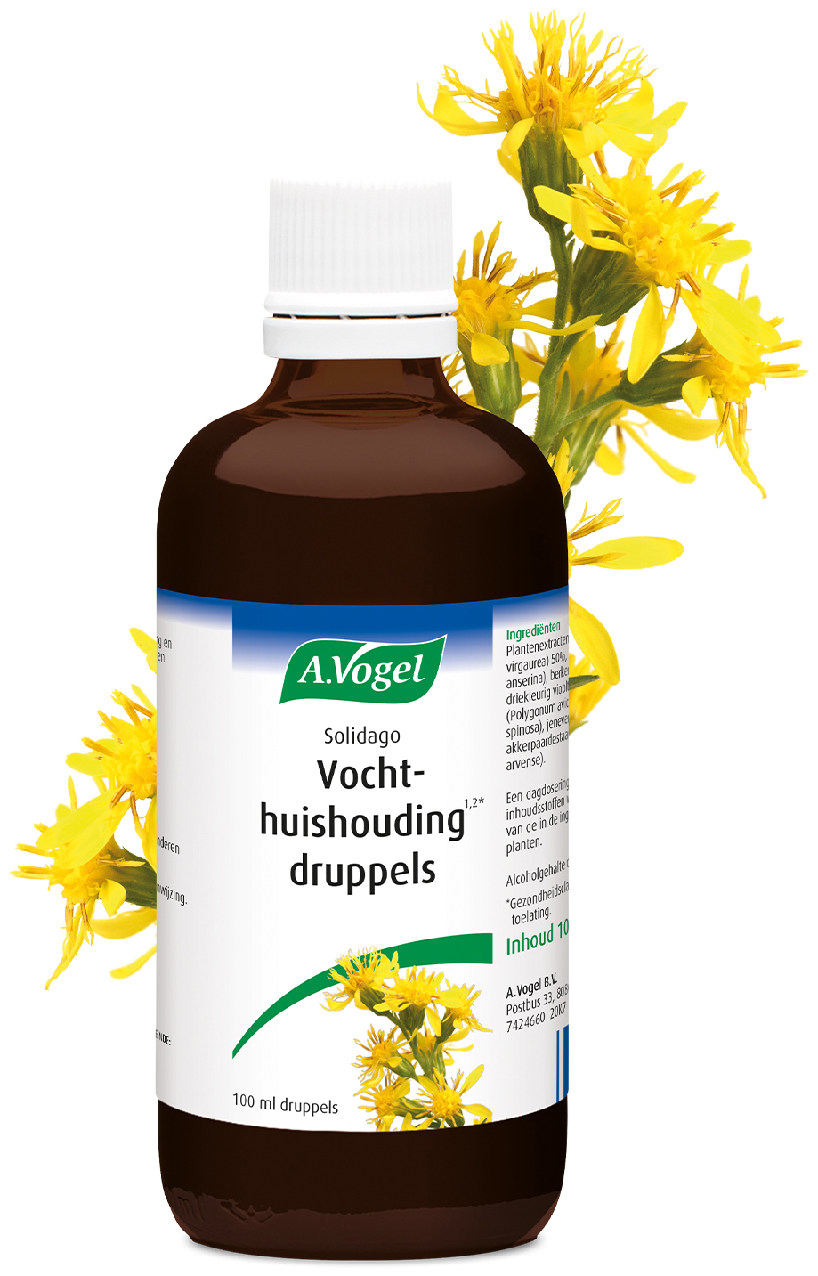 A.Vogel Solidago Druppels 100ml