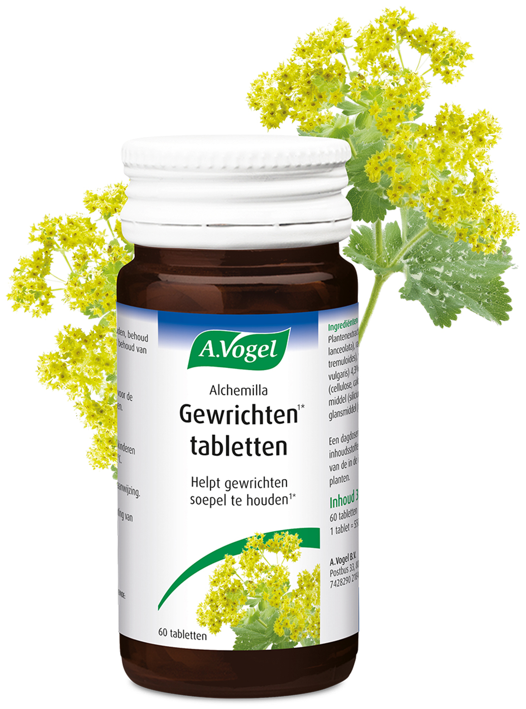 A.Vogel Alchemilla gewrichten tabletten 60 Stuks