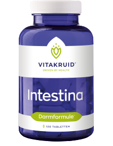 Intestina 120 tabletten