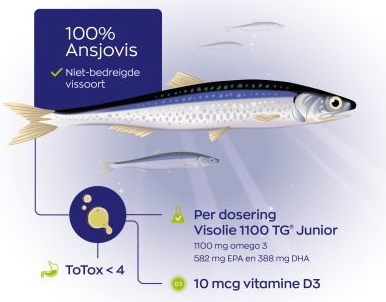 Vitakruid Visolie 1100 TG Junior 54 ML