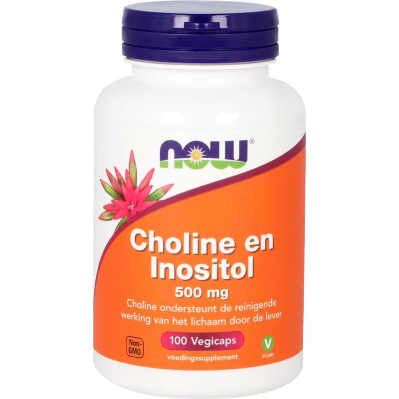 Choline en Inositol 500mg 100 capsules